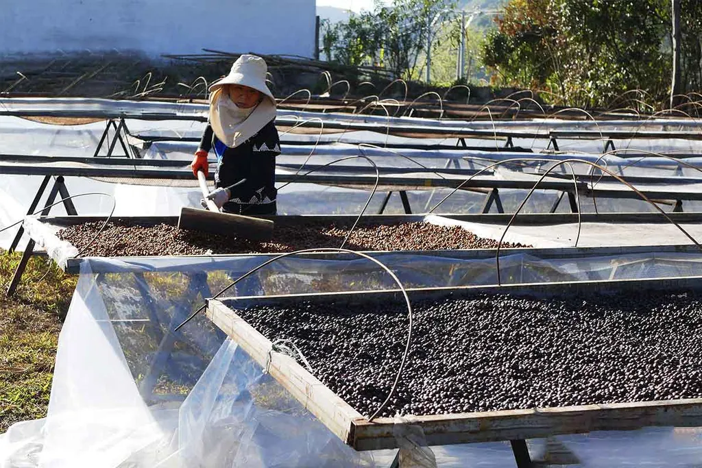 First roastery, Taiwan 2012