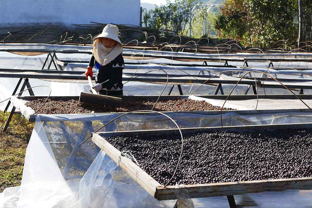 First roastery, Taiwan 2012